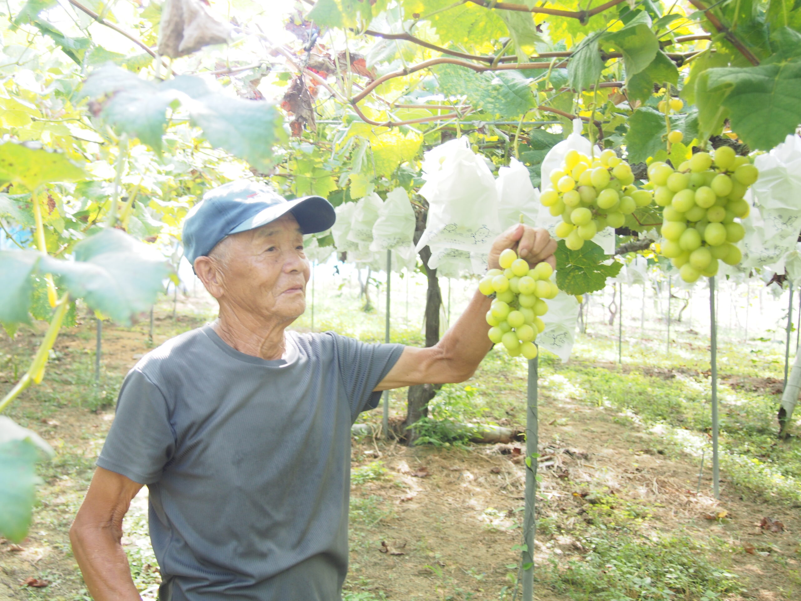 大切に育てています♡