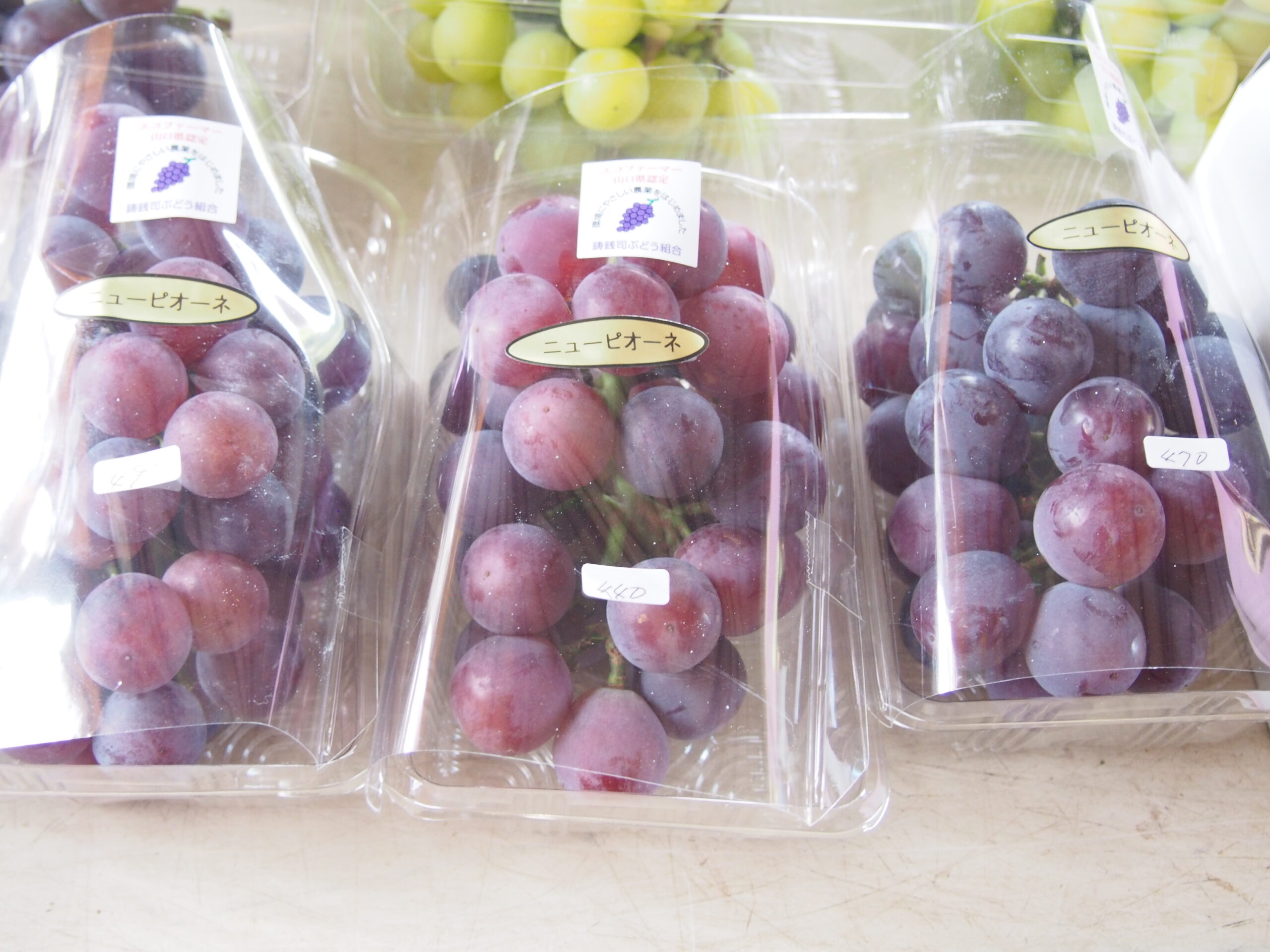 丁寧に育てられたピオーネは絶品！