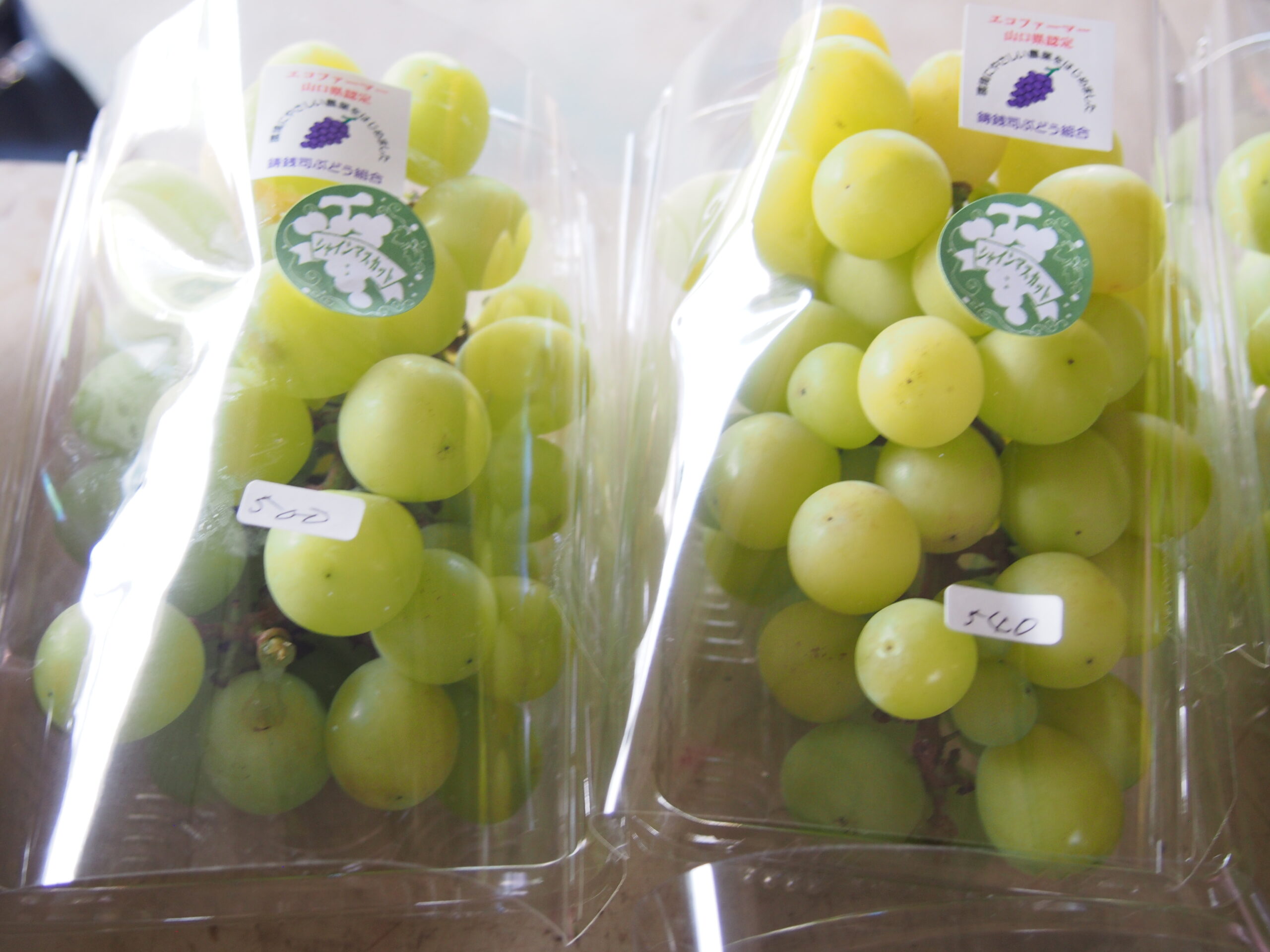 甘くておいしいシャインマスカット♪