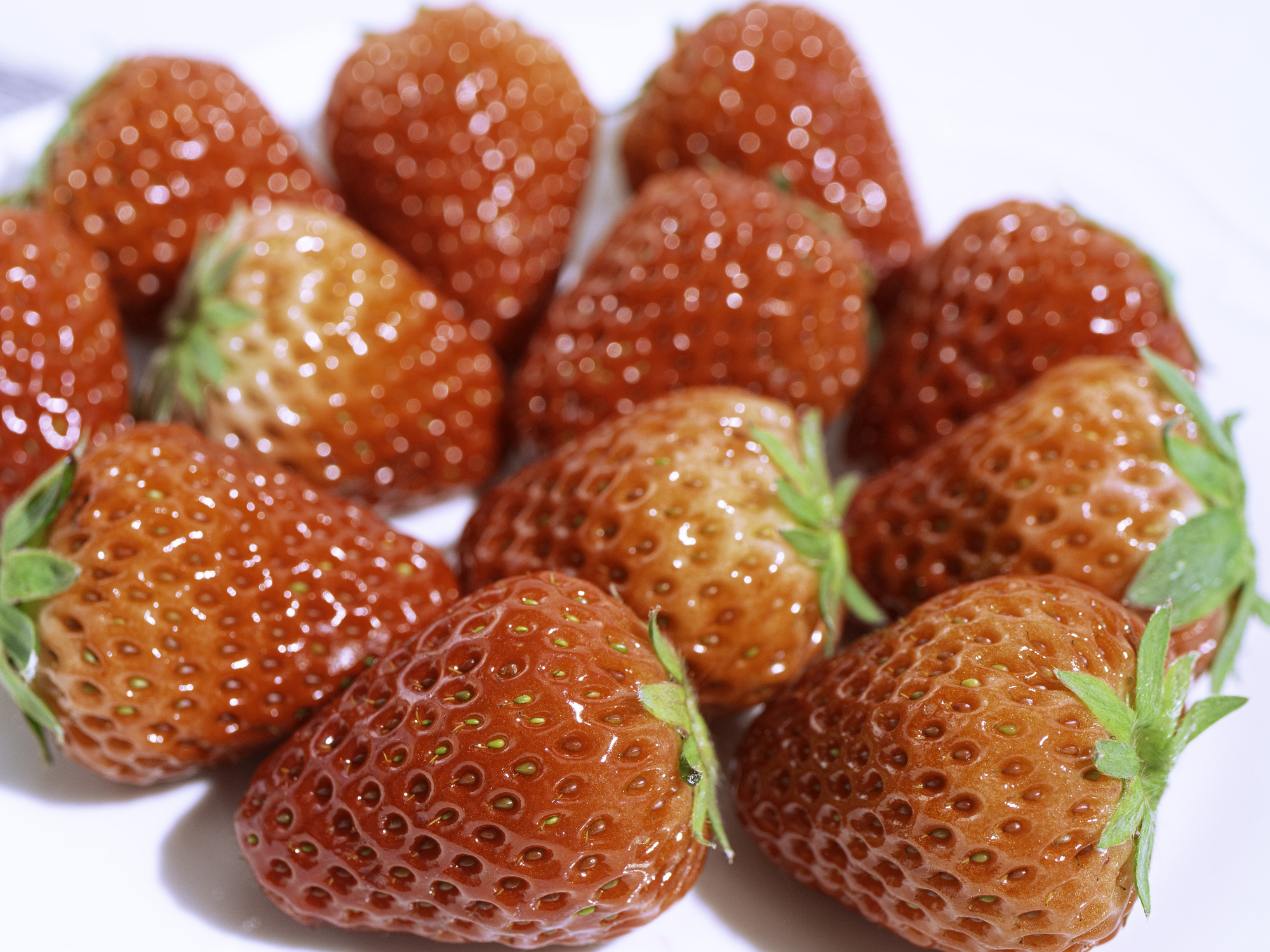 甘いイチゴをぜひご賞味ください♪