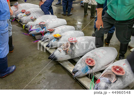 ＜こだわりの鮮度管理＞
世界中から厳選したまぐろを、原料の仕入れから出荷まで超低温冷凍庫で徹底管理しています。これにより、鮮度を保った安全・安心な製品を提供しています。