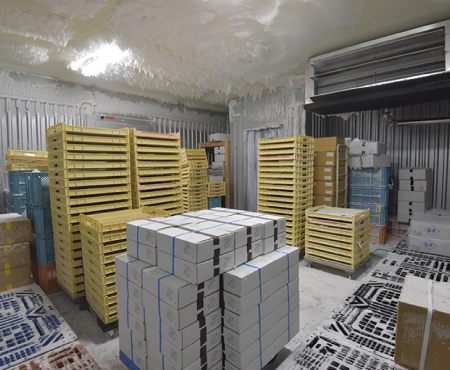 ＜急速凍結と超低温保管＞
－30℃での急速凍結後、－40℃の超低温冷凍庫で保管。これにより鮮度と品質が長時間保たれます。